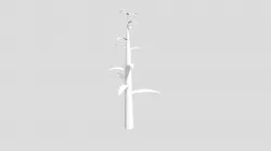 Maya Garlic Stalk