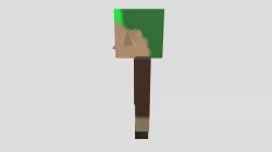 Minecraft Links awakening link