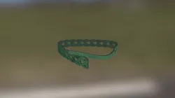 Rapstrap