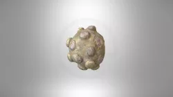 Rattle