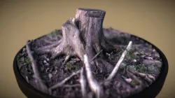 Root photogrammetry
