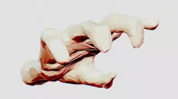 Rough Hand