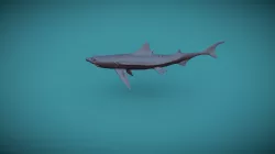 Shark sculpture 2
