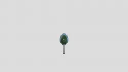 Submarine Model