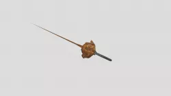 sward
