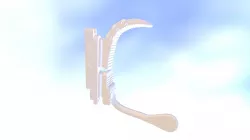 Target Shooting Butt Hook