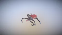 Tick