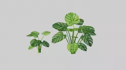 Tropical Palm G45
