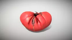 Vegetable Tomato - Photoscanned PBR