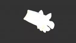 Vertebrae Model