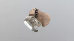 A TRNIO Model