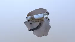A TRNIO Model
