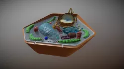 Biology plant cell