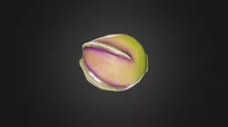 Blender test
