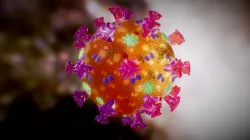 Corona Virus - Human
