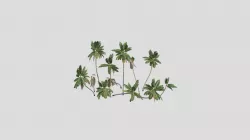 dan tree3
