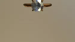 Davids ring