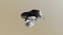 Decimated