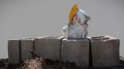 Duckie Stuffie