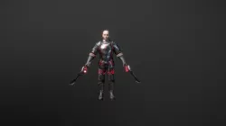 Duelist