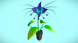 Exotic Flower - Tacca Chantrieri