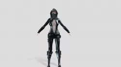 Female Ninja Guardian Full Character