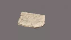 Flute Cast Model