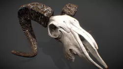 Goat Skull