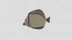 hopeFish