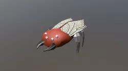 Inseto/ Insect