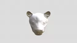 Lion Face