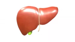 LIVER