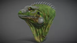 Lizard