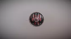 Medieval Shield