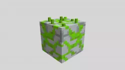 MOSS STONE 1
