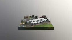 Norse School