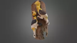Oiseaux naifs ciment