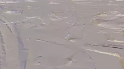 out