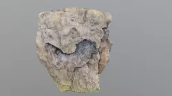 Petrified tree/wood