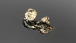 Purisima Formation