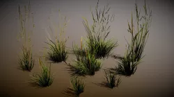Real Bush