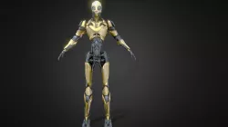 Robo Skeleton Android Cyborg Robot Character