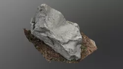 Rock boulder stone in forest