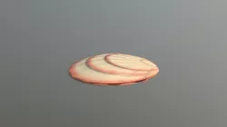 seashell