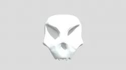 Skull