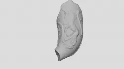 Smoking Pipe Bowl (VCU_3D_5022)