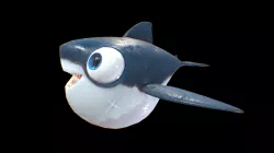 Toon Shark