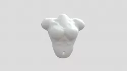Torso
