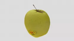 yellow apple