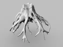 Ancient Tree Stump 3D model